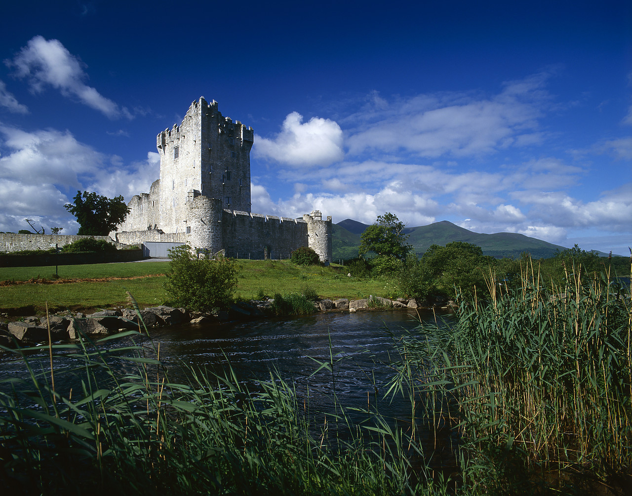 #990208-1 - Ross Castle, Killarney, Co. Kerry, Ireland