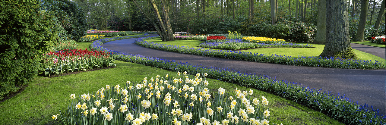 #990345-3 - Keukenhof Gardens in Spring, Lisse, Holland