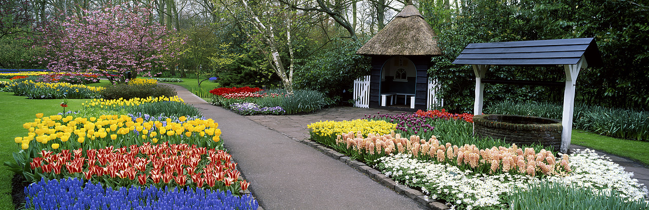 #990369-3 - Keukenhof Gardens in Spring, Lisse, Holland