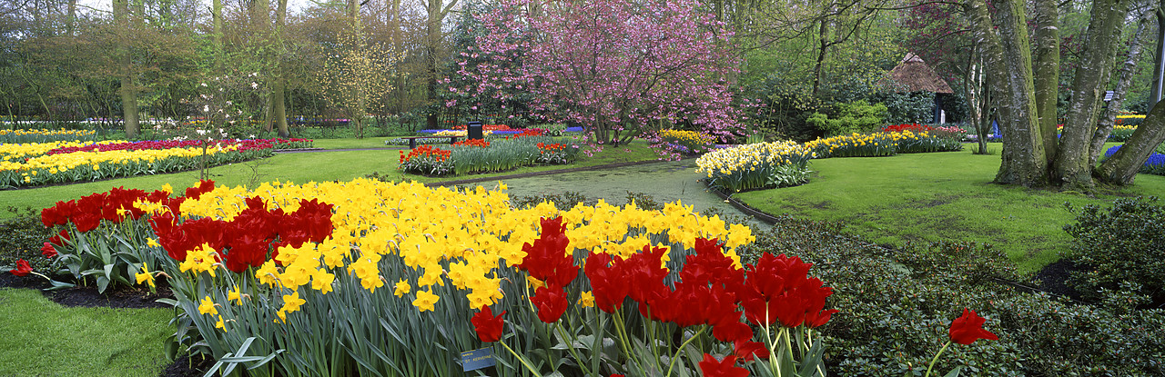 #990370-6 - Keukenhof Gardens in Spring, Lisse, Holland